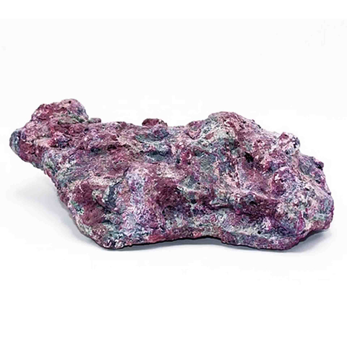 Reef Plates - Java Reef Rock - Sold per 100g - In Store Pick Up Only