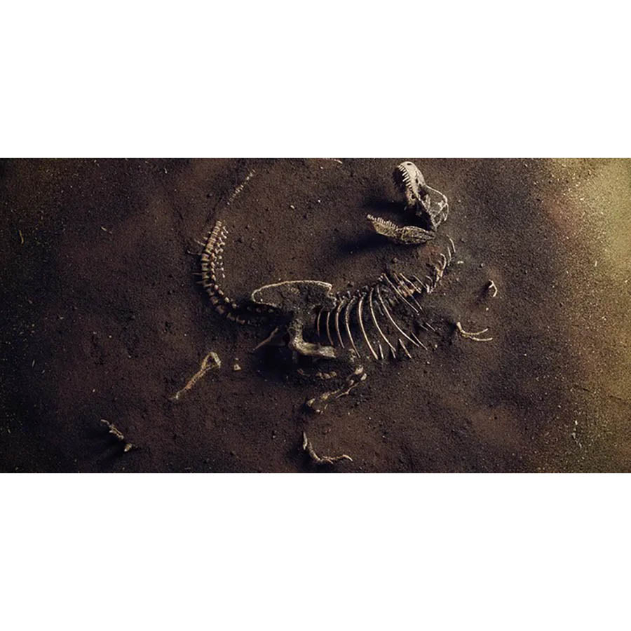 Jurassic Bones - High Gloss Picture Background - 40cm High x 60cm Wide - CLEARANCE
