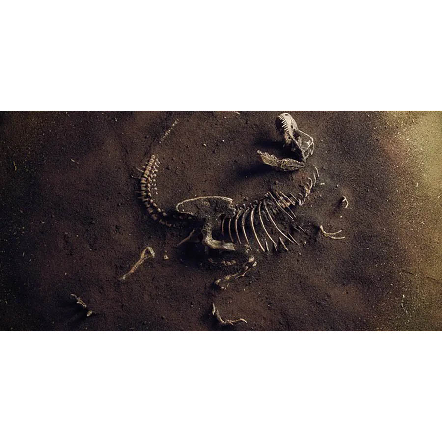 Jurassic Bones - High Gloss Picture Background - 40cm High x 60cm Wide