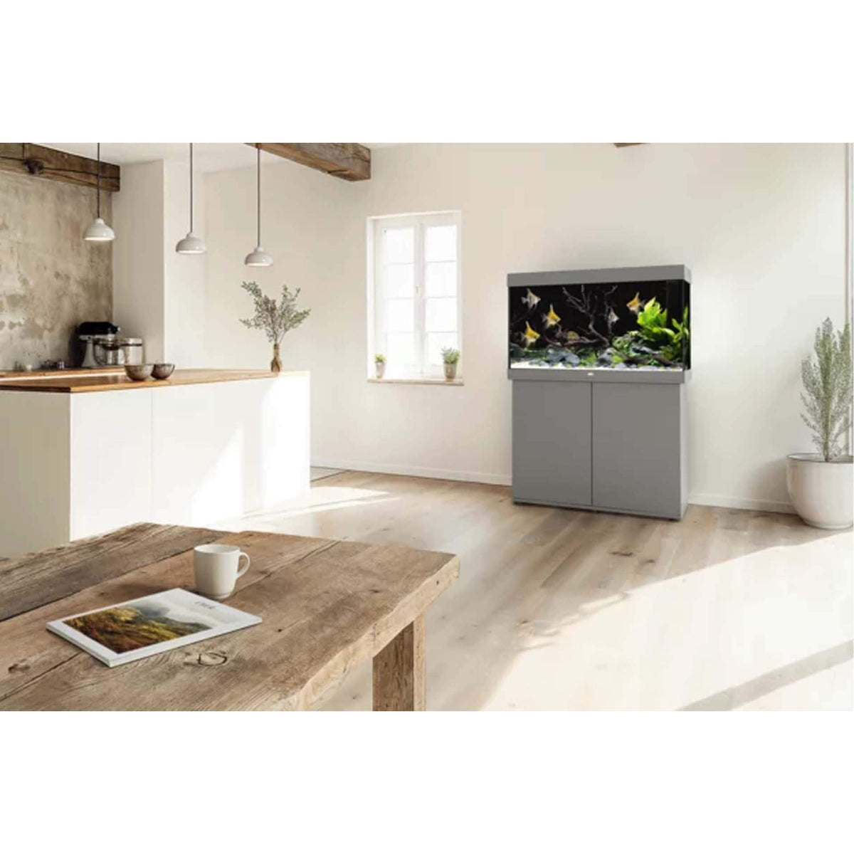 Juwel Rio 290 LED Aquarium Light Wood - 101 x 51 x 66 cm (Tank Only) - In Store Pick Up Only** - Special Order