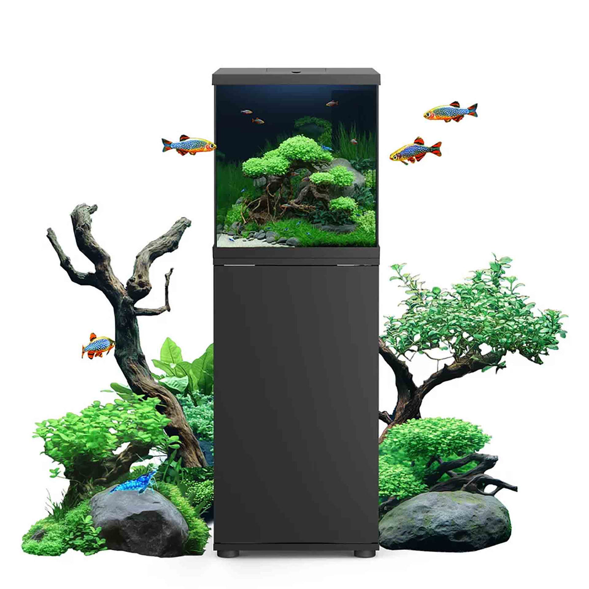 Juwel Vio Cube Aquarium 54 black 41 x 36 x 37cm, 54L -  In Store Pickup Only**