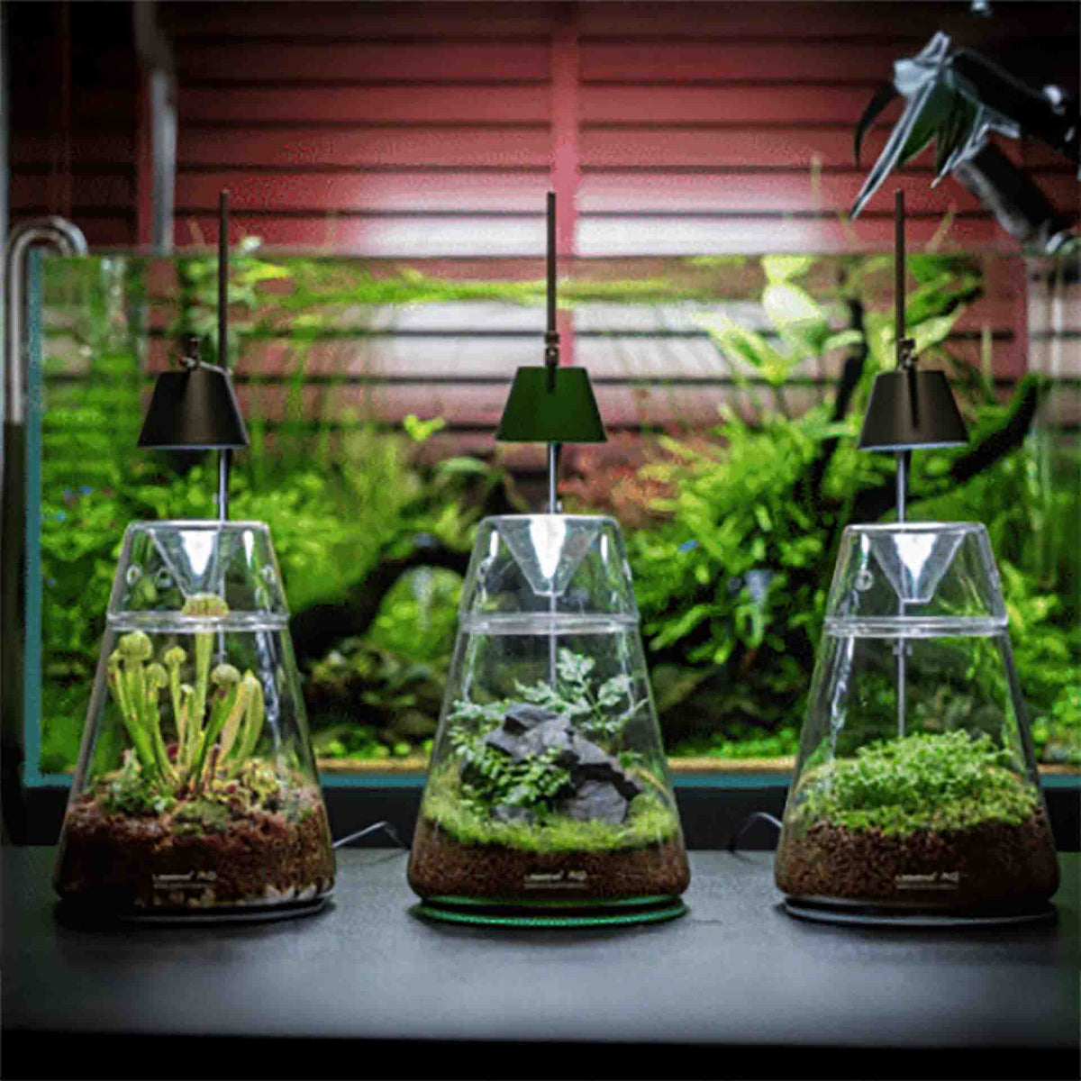 LEDSTAR DOT-II Horti Lighting 2 Box Terrarium Set - 7W - In Store Pick up Only