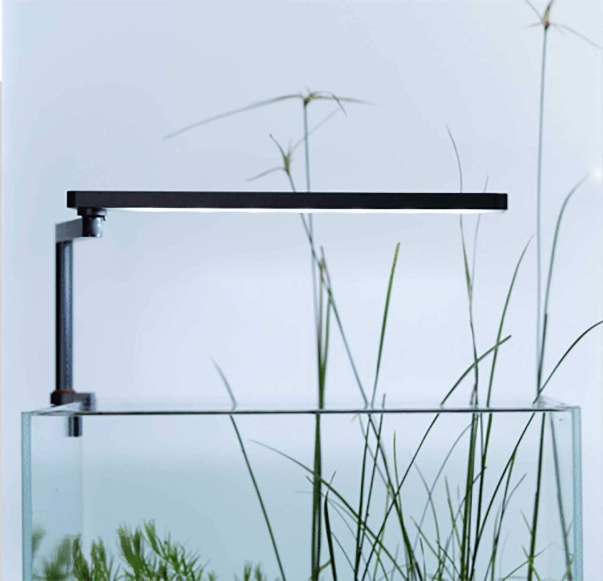 Ledstar AQ-N WRGB Nano Smart Light - Dark Grey