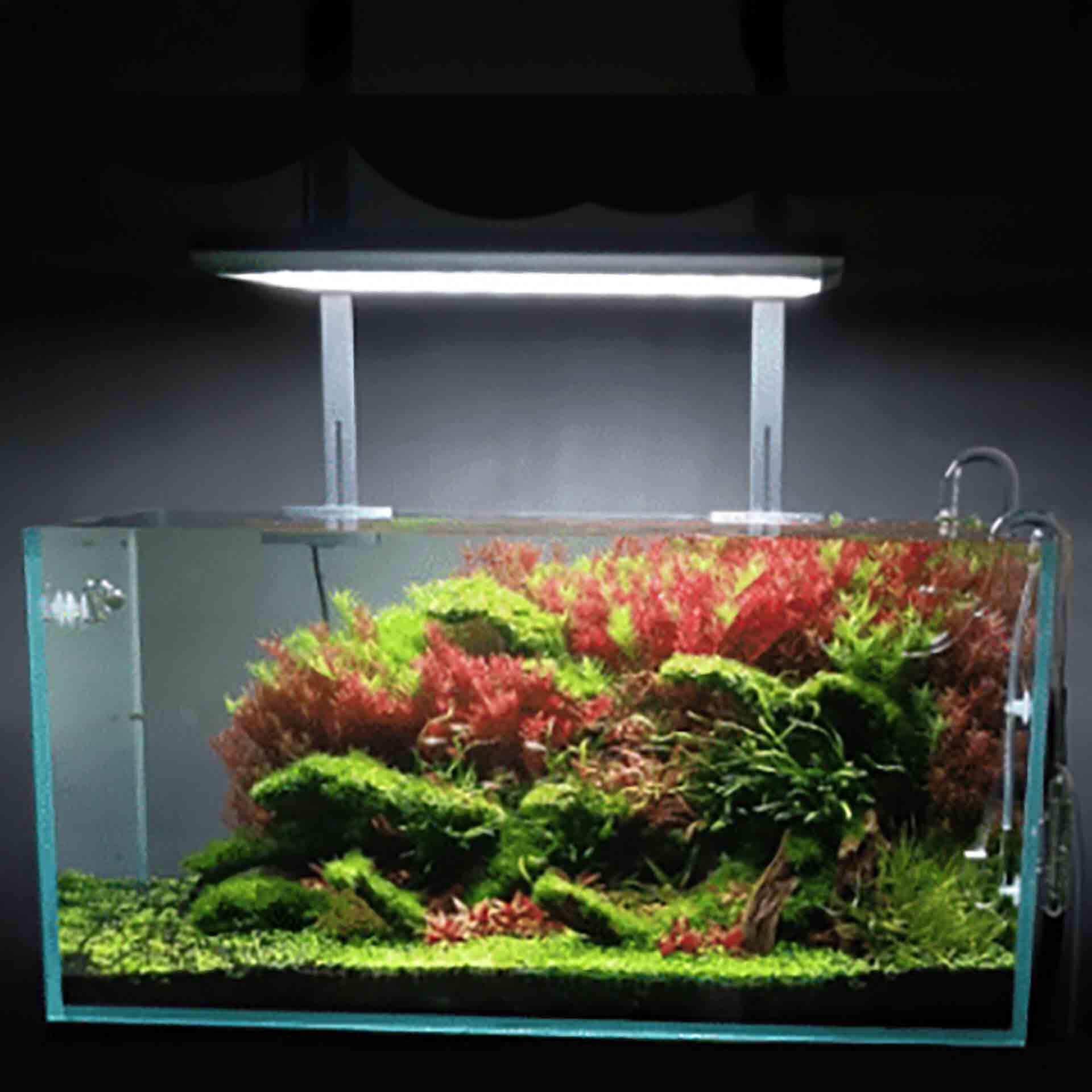 hanging lights for planted aquarium Ledstar Hanging Kit with Tank Mounts - Suited for Ledstar Z and X Ligh