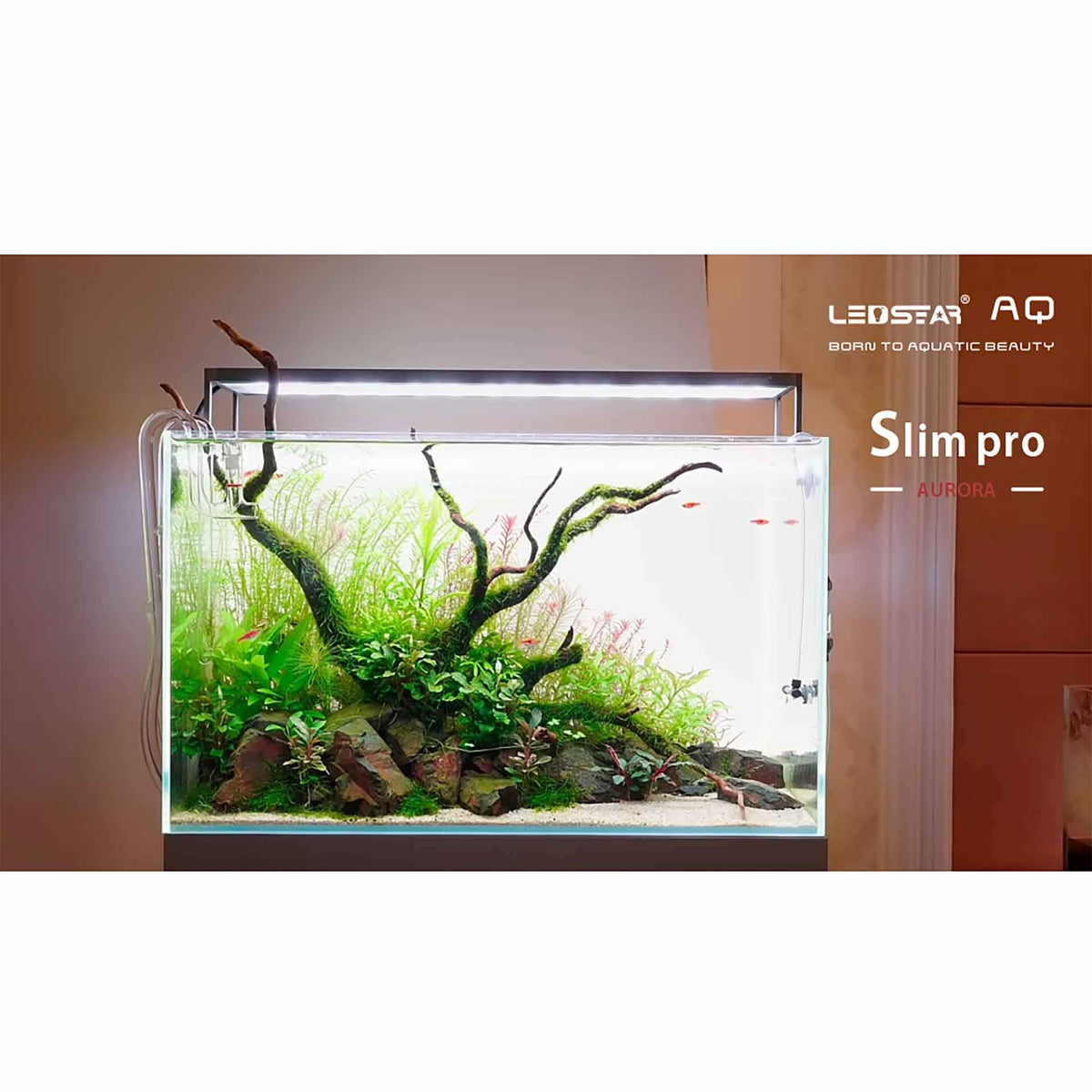 Sp30 Pro Light Ledstar AQ-SP30 WRGB Slim Pro Light 30cm** - The Tech Den