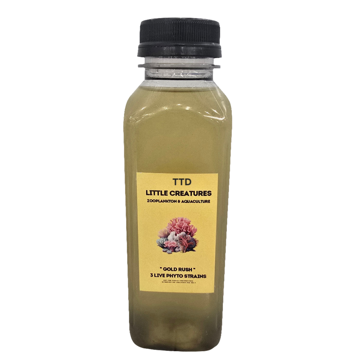 Little Creatures Live Phytoplankton 'Gold Rush' 350ml - Live Food - Instore Pick Up Only