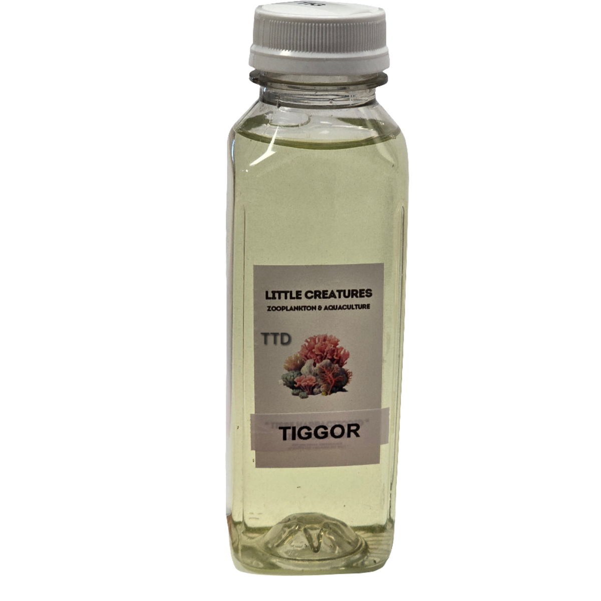 Little Creatures Tigriopus Copepods (Tiggor) 350ml - Live Food - Instore Pick Up Only