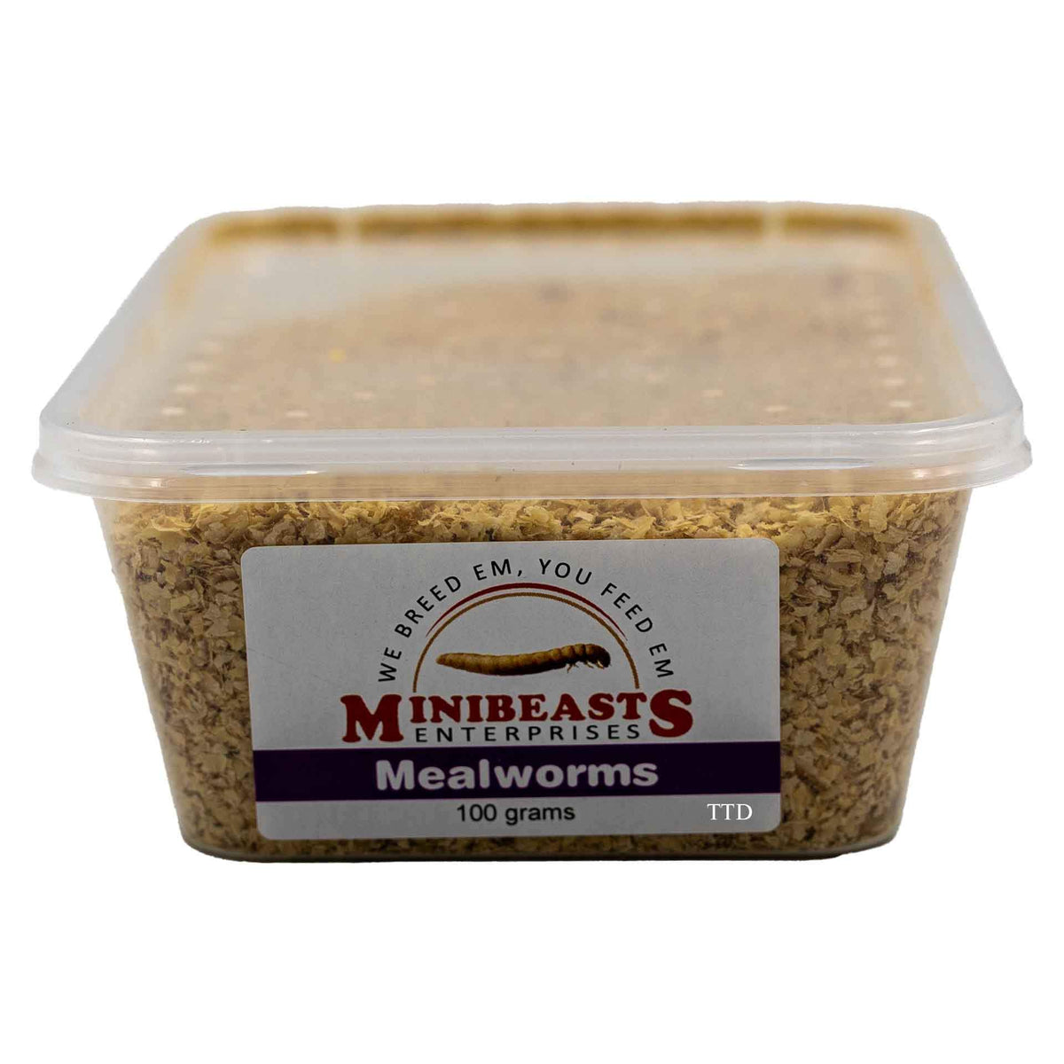 Minibeasts Mealworms - 100g Tub Live Food - Instore Pick Up Only
