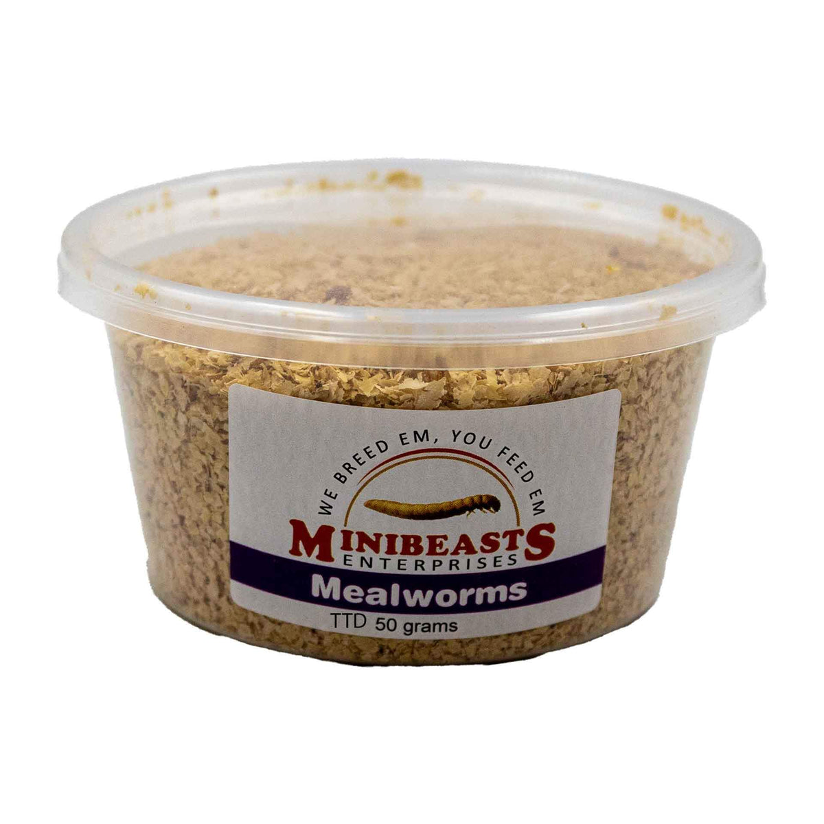 Minibeasts Mealworms - 50g Tub Live Food - Instore Pick Up Only