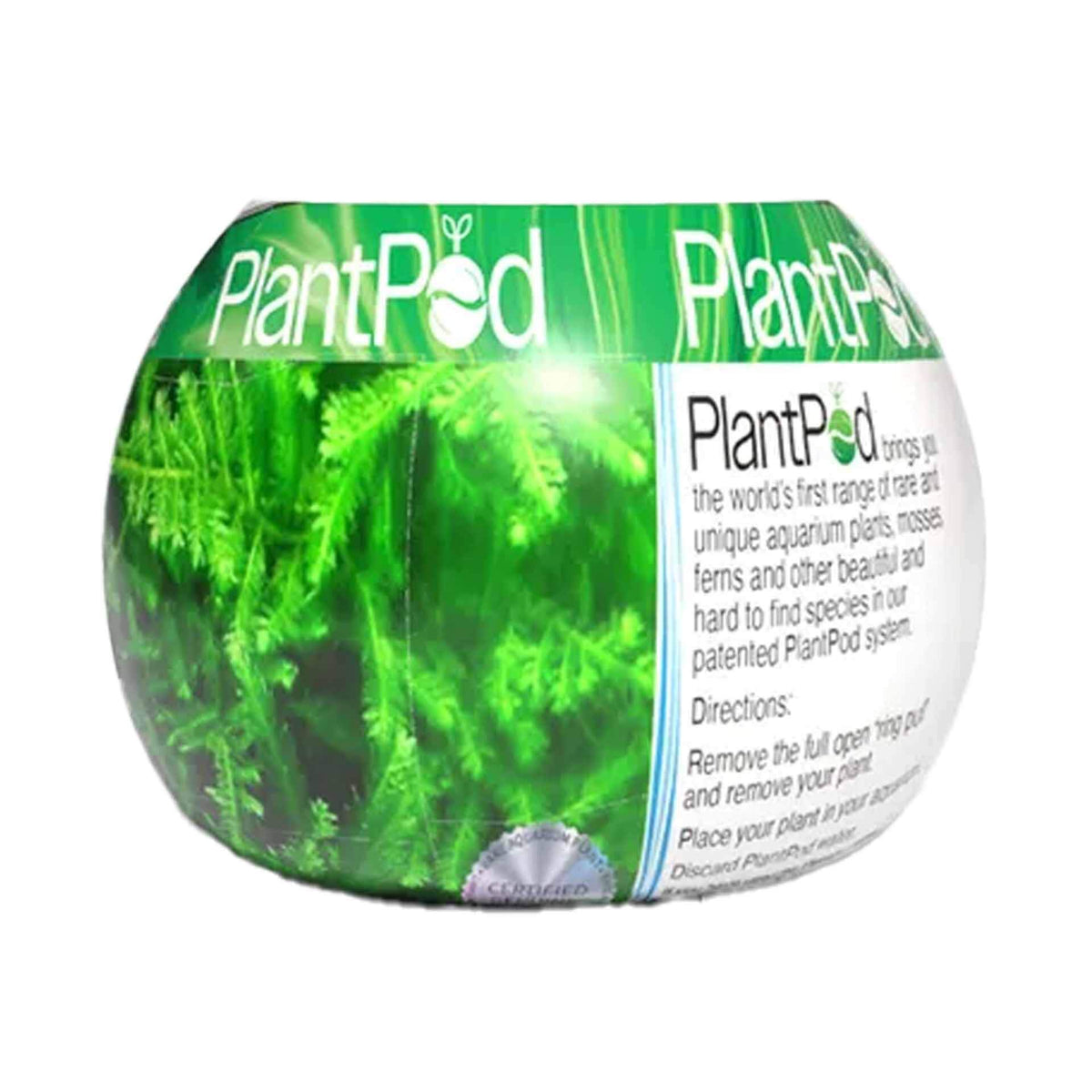 PlantPod Peacock Moss Small - Live Plant- Instore Pick up*