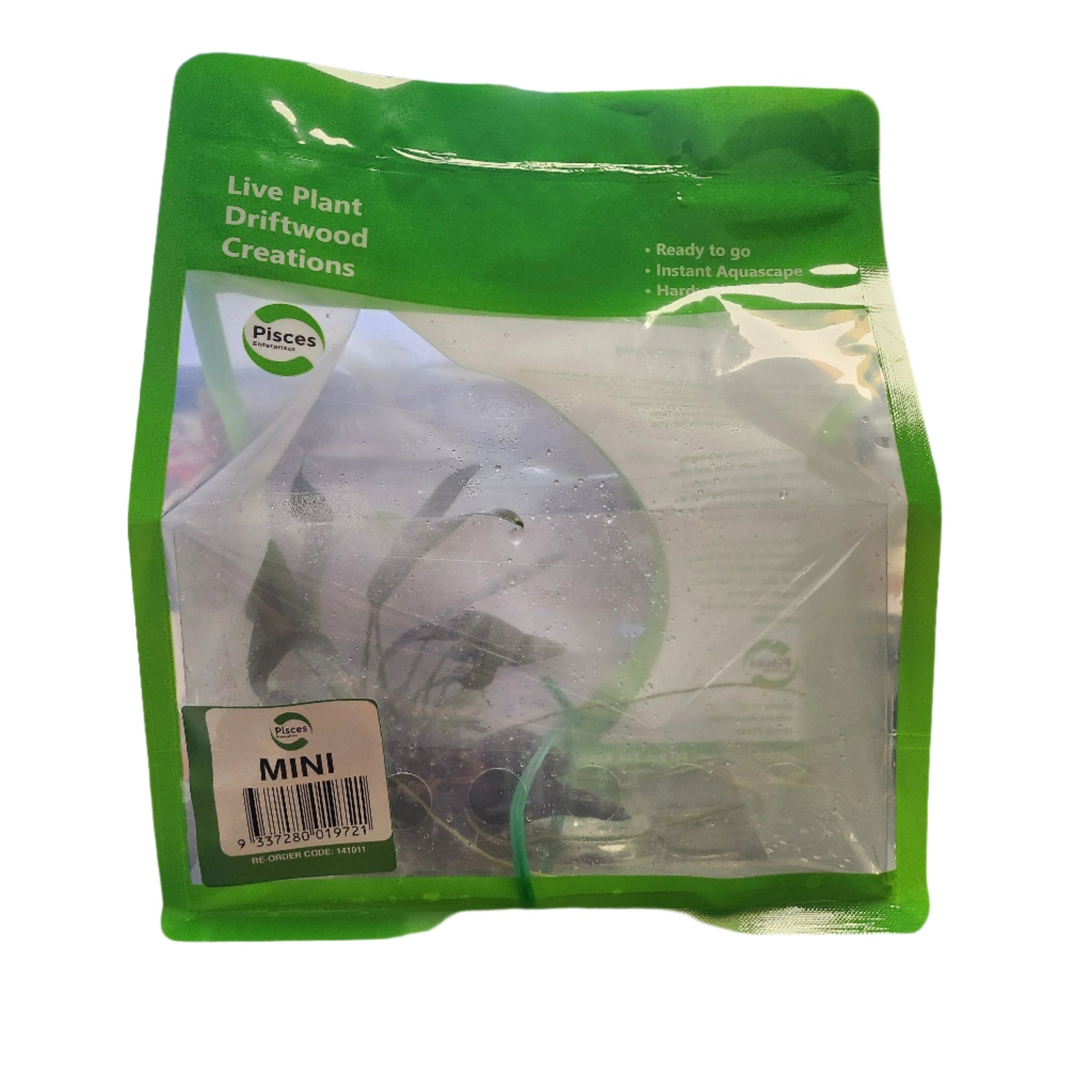 Plant to Go Pack Plant on Driftwood - Mini