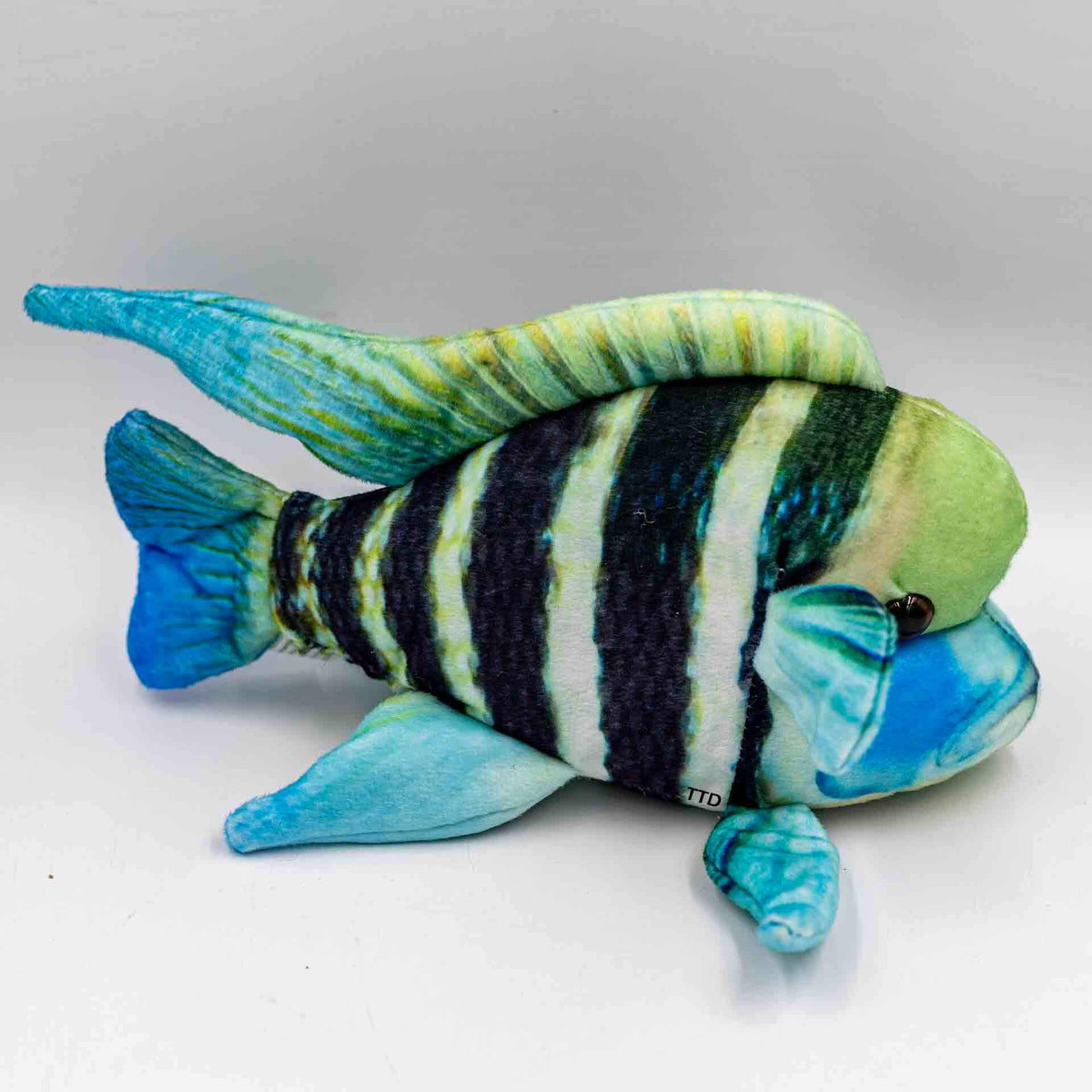 GreenPleco 'Frontosa' 27cm Plushie with Suction Cup