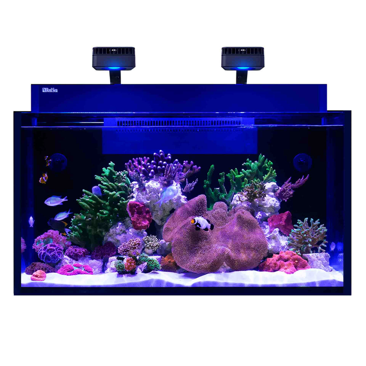 Red Sea Max Nano G2 XXL Cube Aquarium - Instore Pick Up Only - Special Order