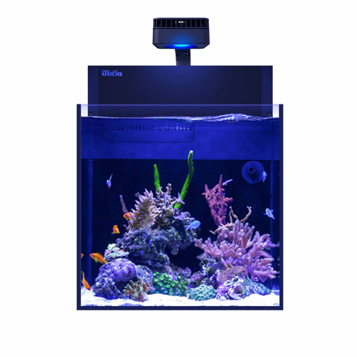 Red Sea Max Nano G2 Cube Aquarium - Instore Pick Up Only - Special Order