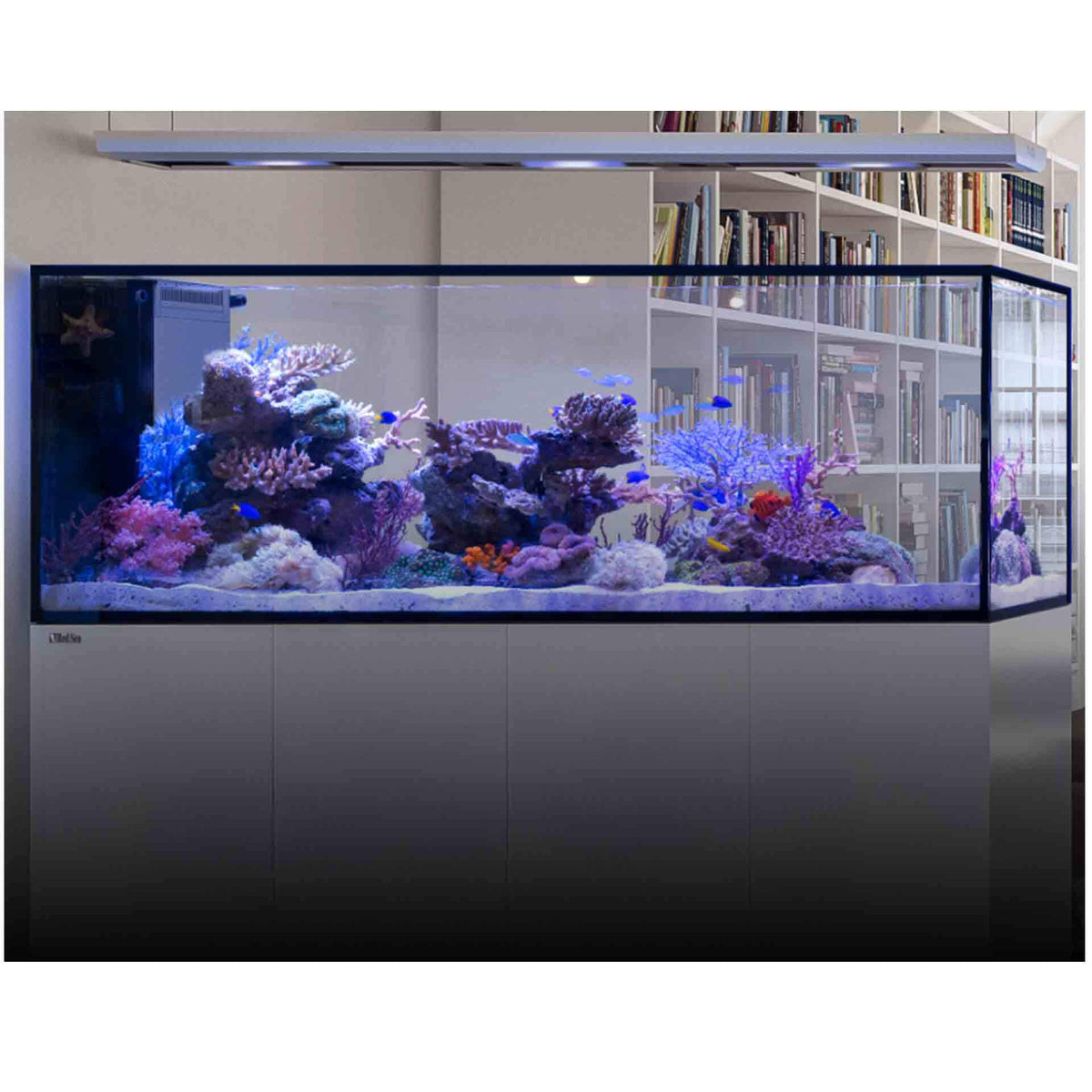 Red Sea REEFER Aquarium Peninsula G3 S-700 Deluxe with ReefLED G2 170 - Black