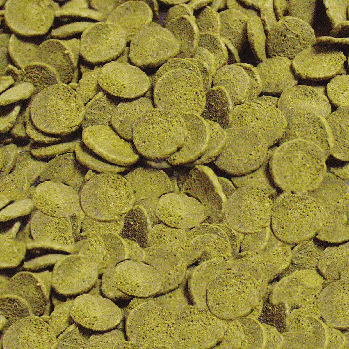 Sera Pleco Chips 1000ml (380g)