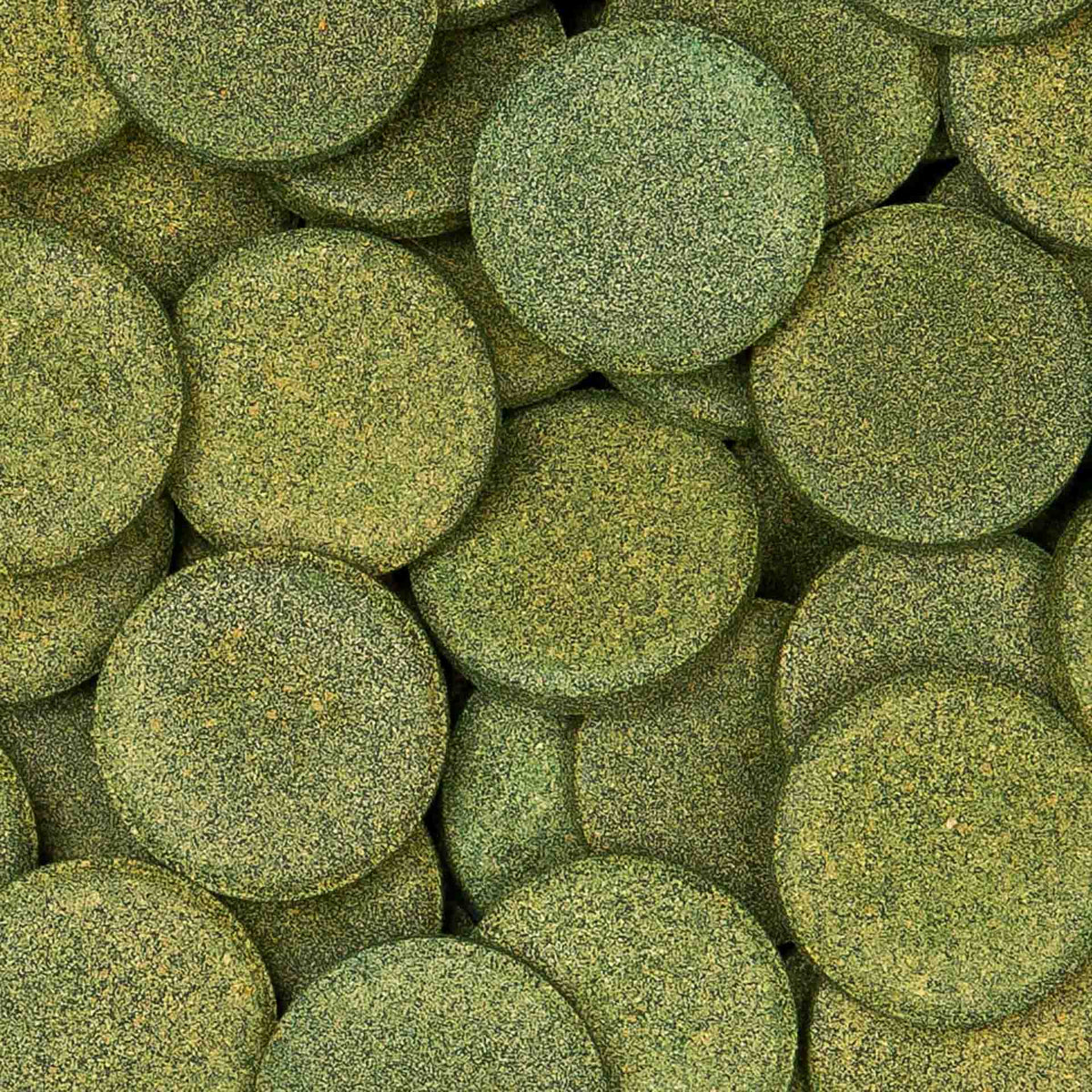 Sera Pleco Tabs XL 1000ML (550g)