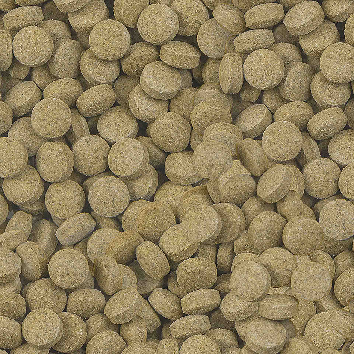 Sera Viformo Pleco Tabs 250ml (160g)