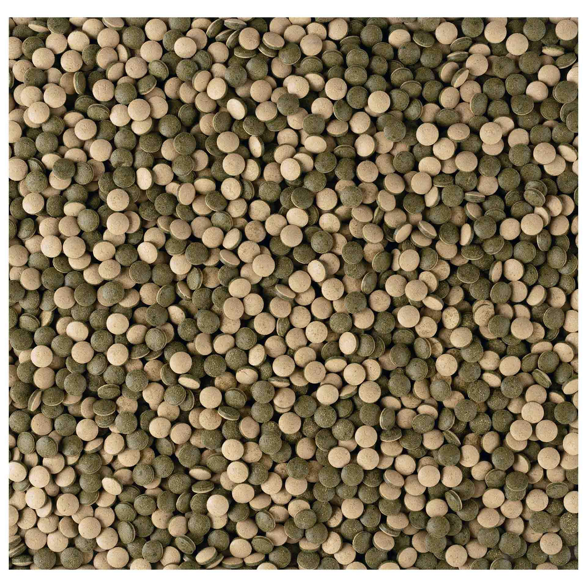 Tetra Pleco Tablet 36G, 120 Tablets (New version)