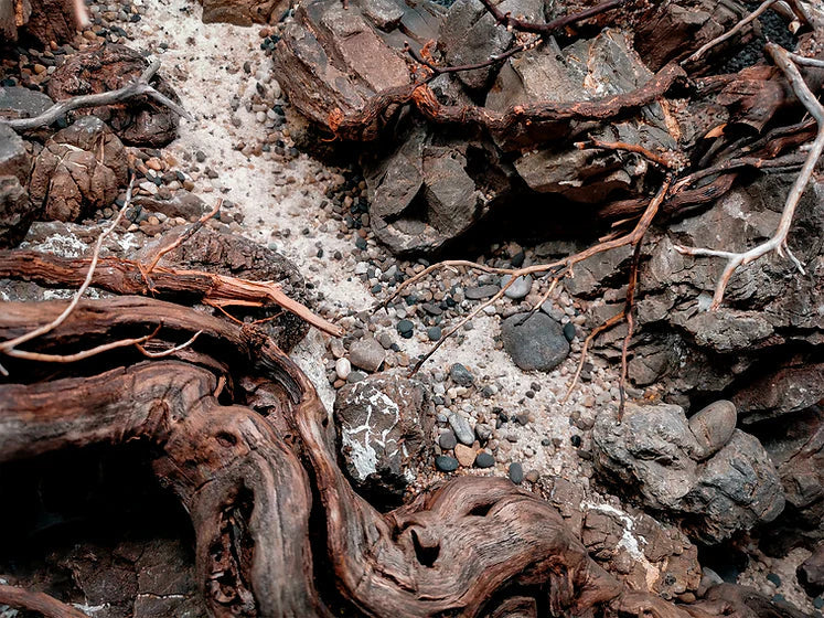 WIO Heaven Sand 5kg**