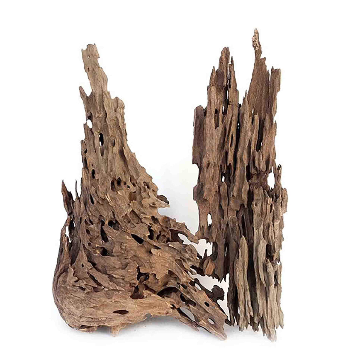 Wyld Scapes Dragon Wood XS - In Store Pick Up Only**
