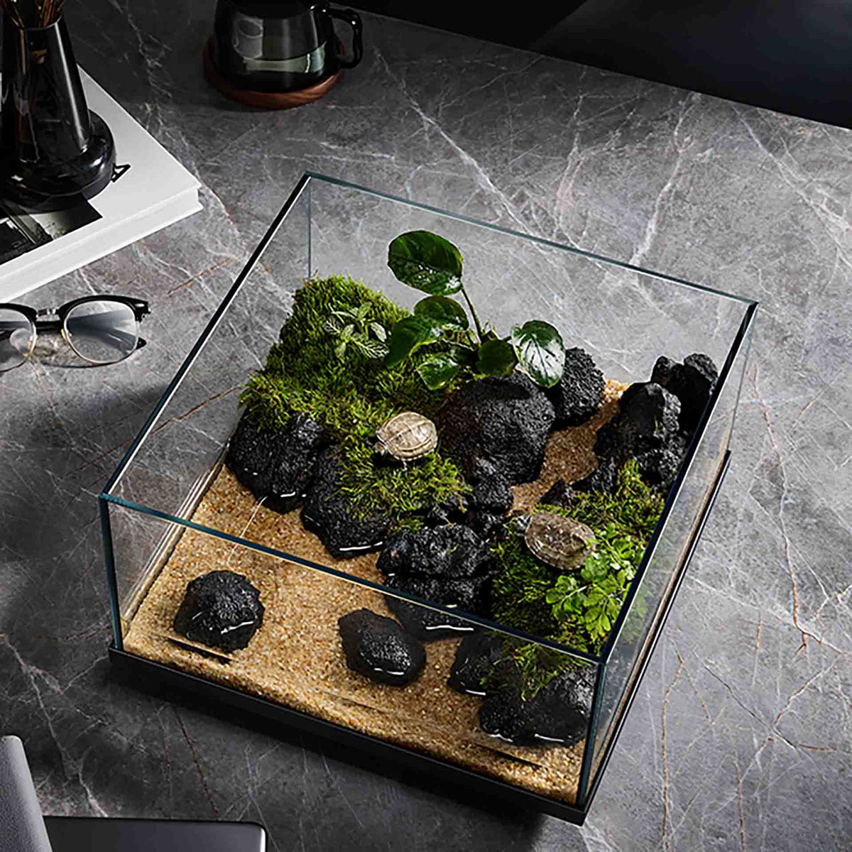 Wyld Scapes Scaper Delta Aquarium - 16 Litres 30.6 x 30.6 x 17.2cm - In Store Pick Up Only**