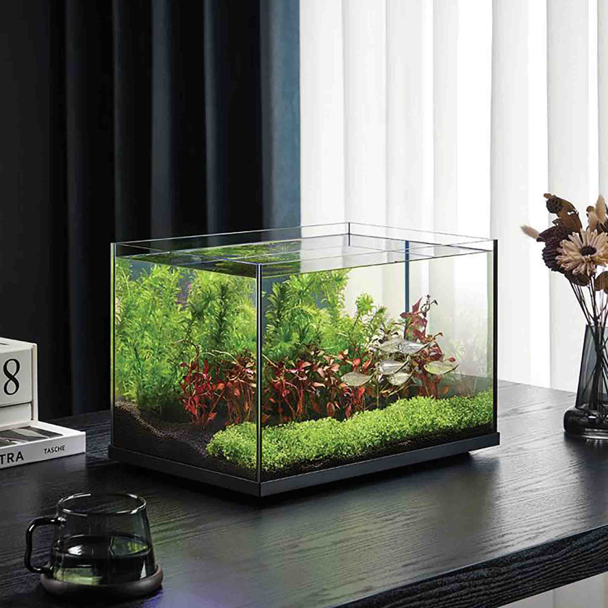 Wyld Scapes Scaper Vista Aquarium - 48 Litres 50.6 x 30.6 x 31.2cm - In Store Pick Up Only**