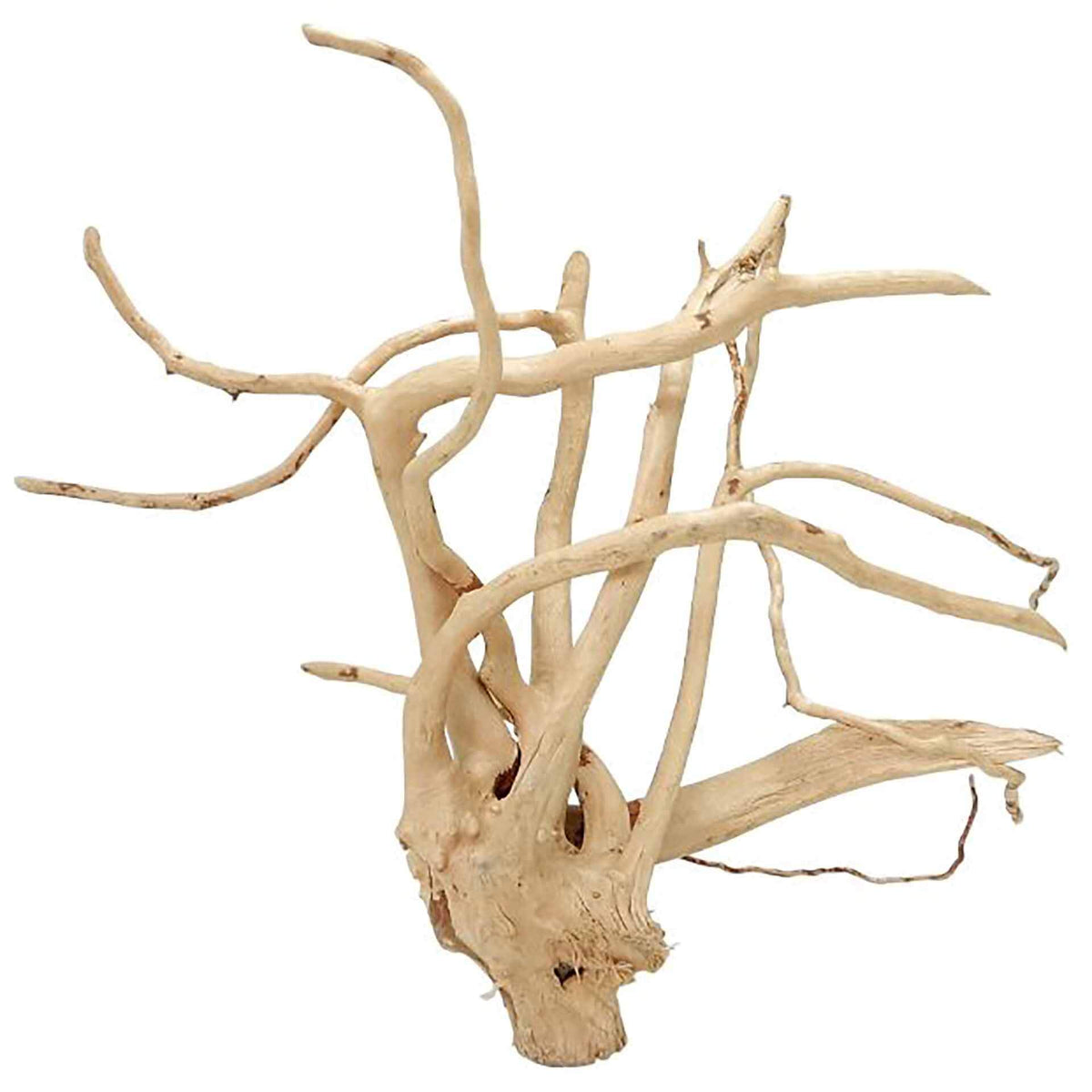 Wyld Scapes Spider Wood S - In Store Pick Up Only**