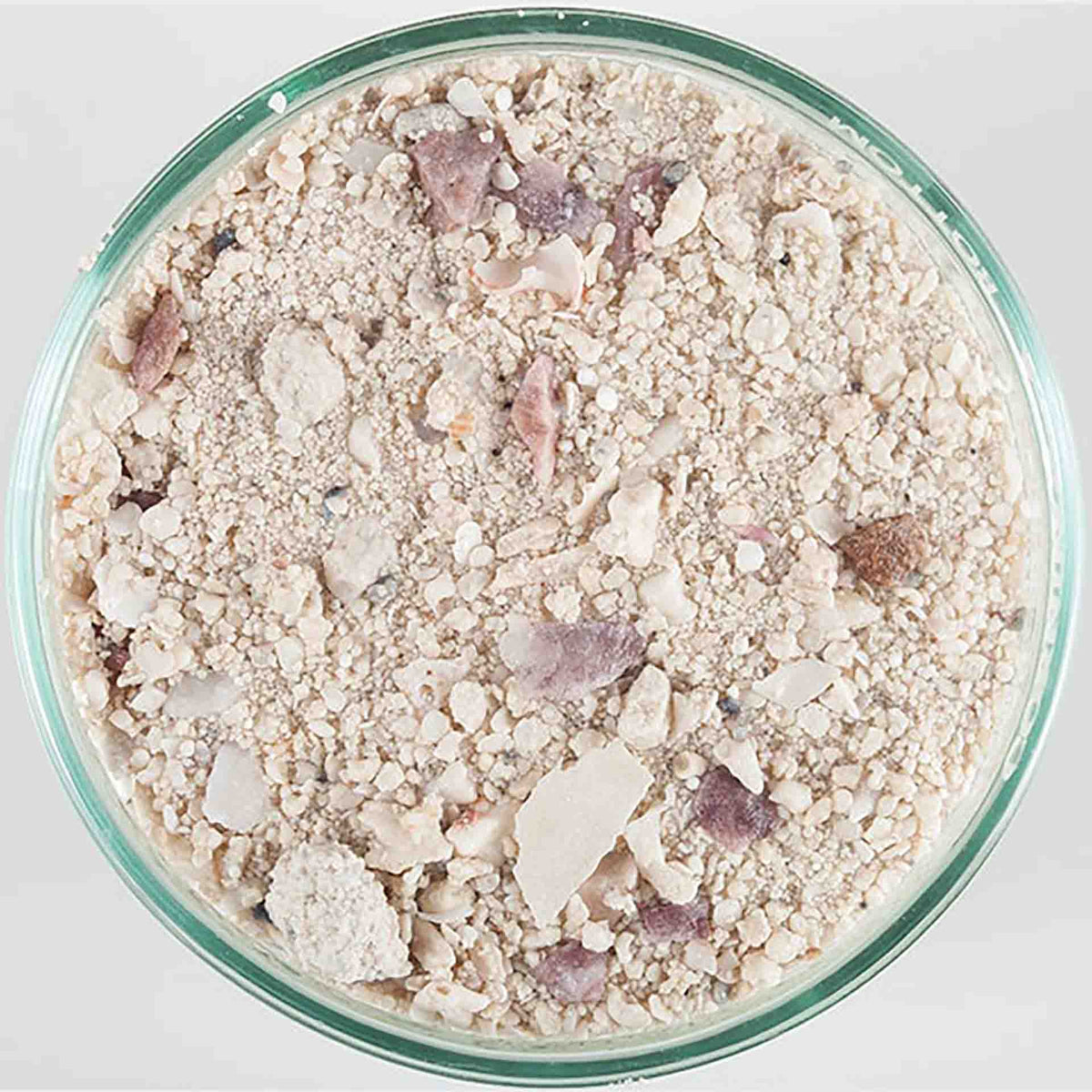 Carib Sea Aragamax Select 9.07Kg Bimini Pink - Size 0.5 – 5.0mm Sand **
