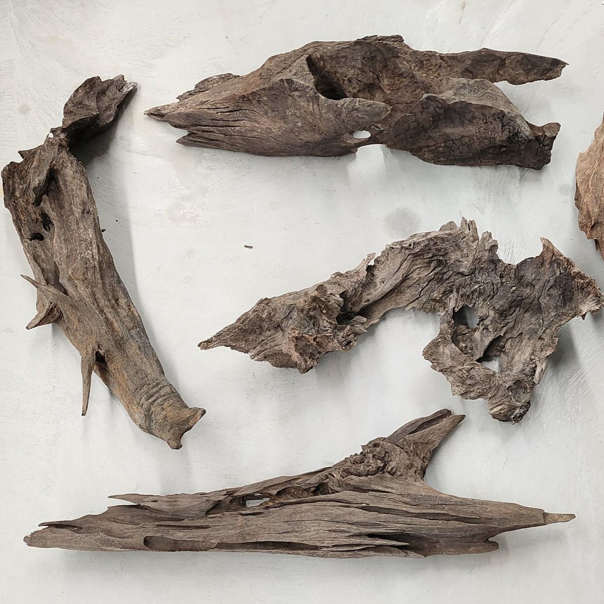 Genuine Drift Wood Small - in store pick up only