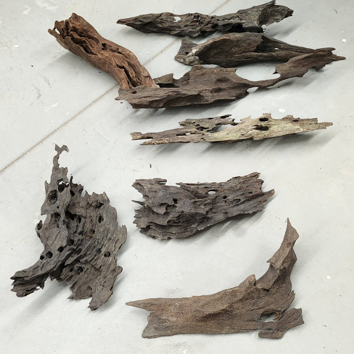 Genuine Drift Wood Large - in store pick up only