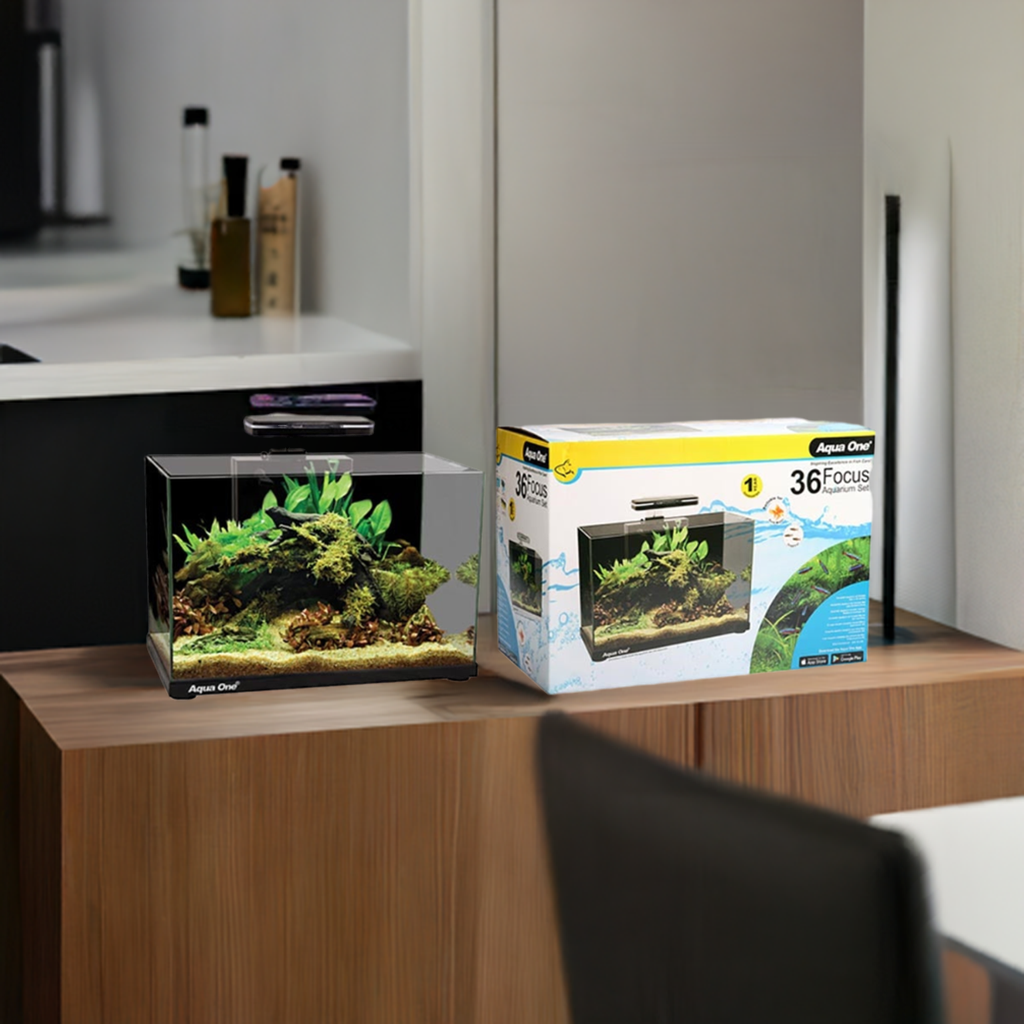 Aqua One Focus 23 Black Aquarium with Light and Filter