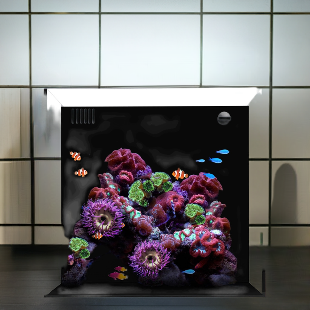 Waterbox AIO Cube 20 Aquarium