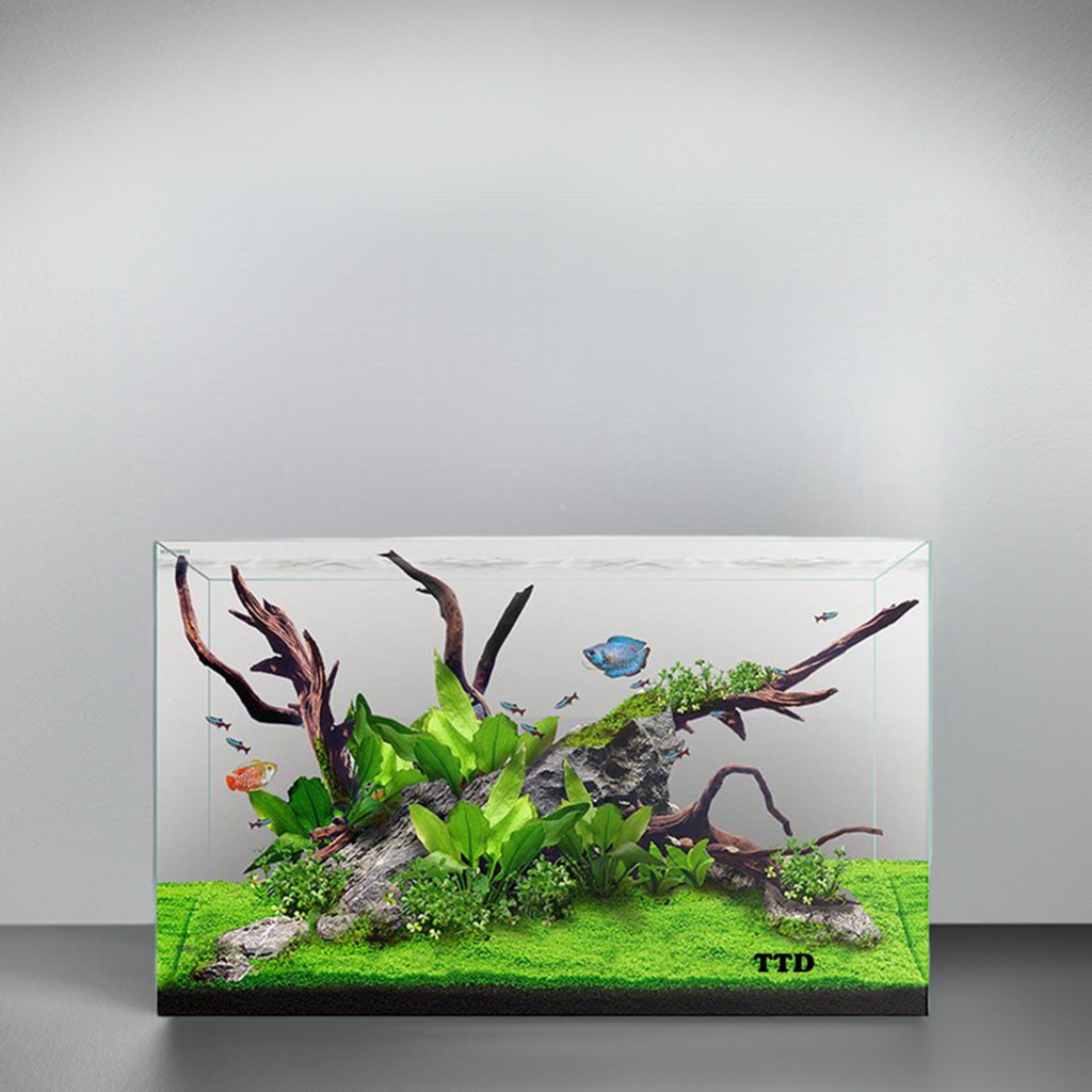 Waterbox Clear Mini 6 Aquarium
