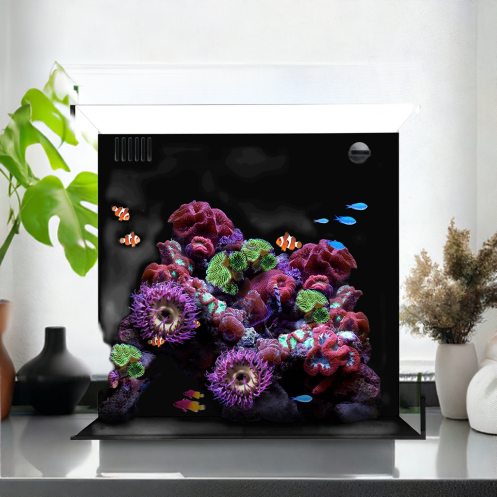 Waterbox AIO Cube 20 Aquarium
