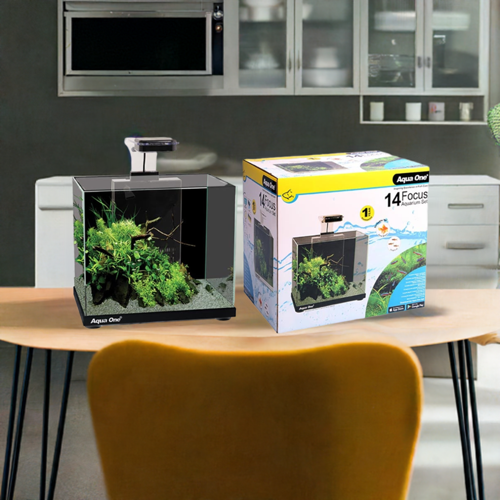 Aqua One Focus 14 Black Aquarium with Light and Filter