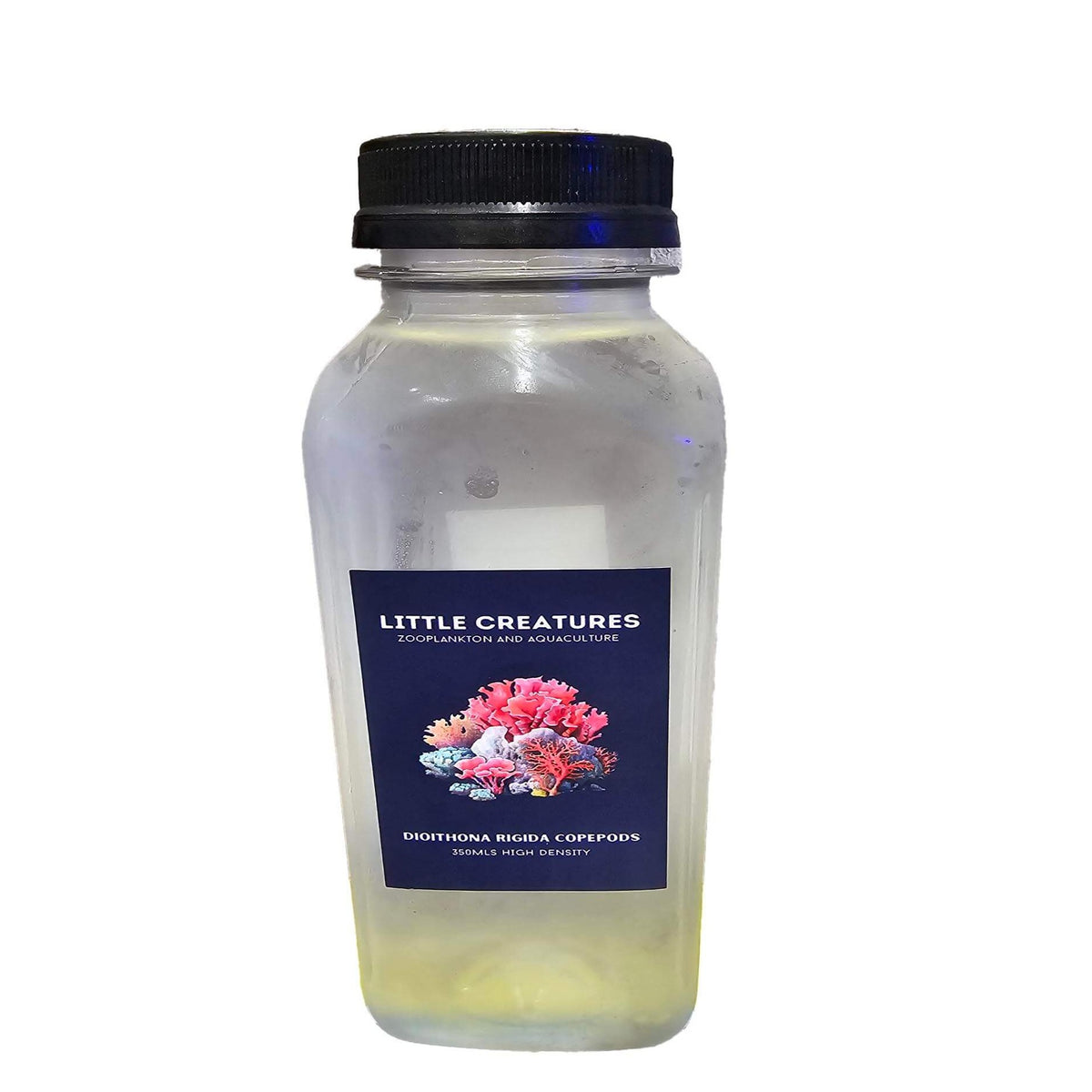 Little Creatures Atlantic Tisbe Copepods 350ml - Live Food - Instore Pick Up Only