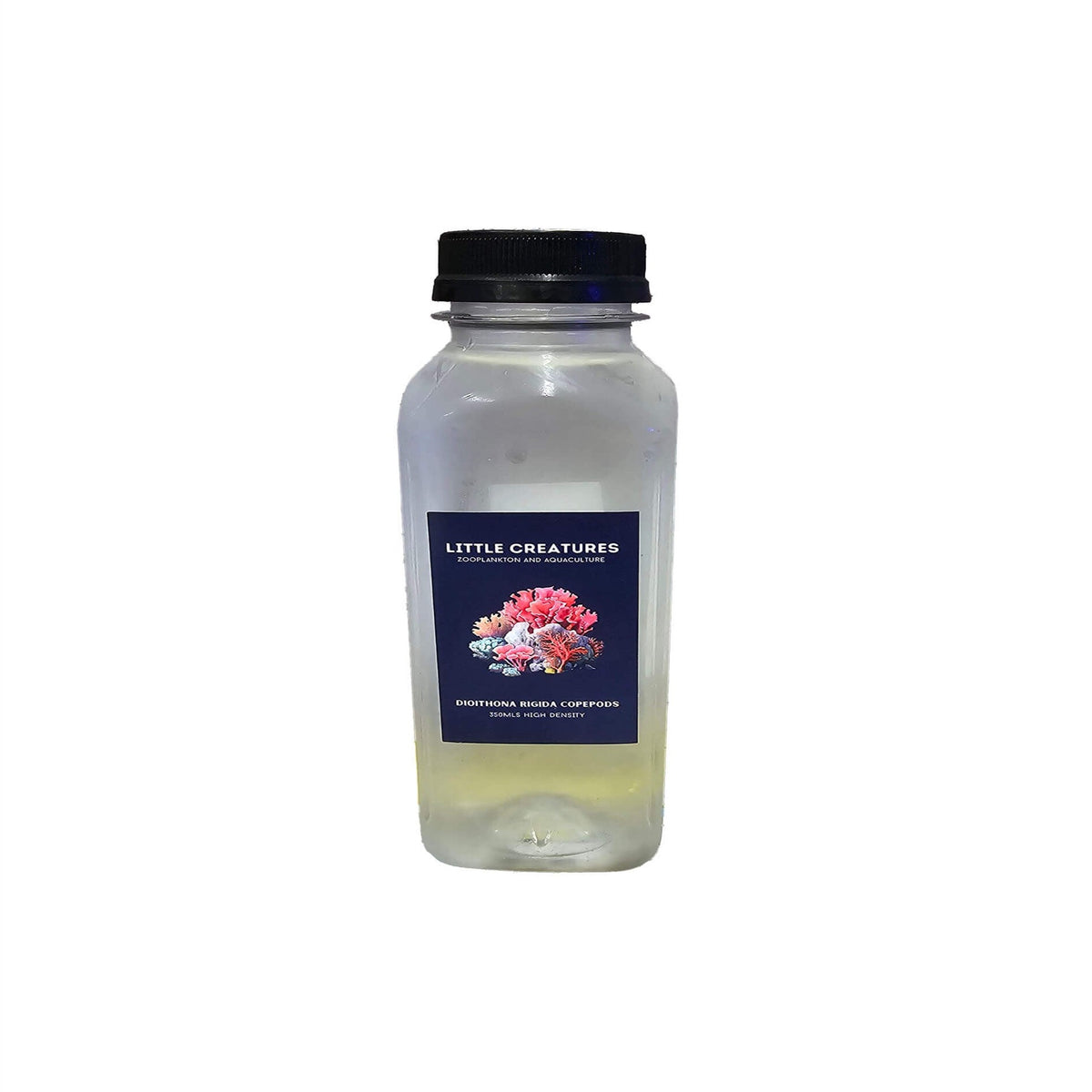 Little Creatures Dioithona Rigida Copepods 350ml - Live Food - Instore Pick Up Only