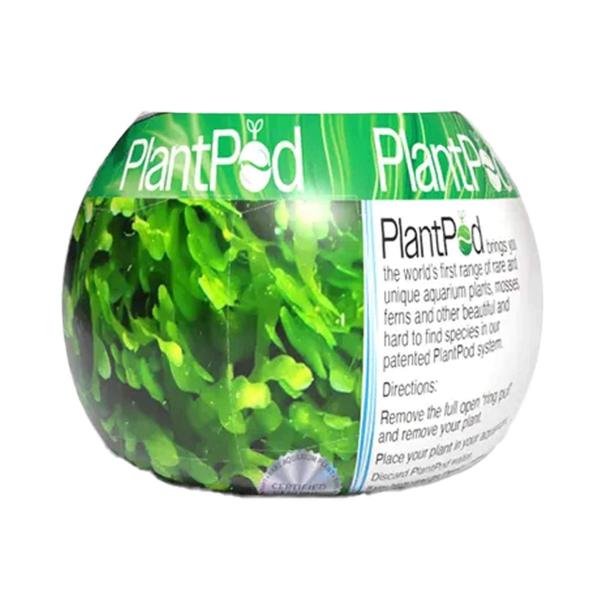 PlantPod Shrimp Moss (Subwasser) Small - Live Plant- Instore Pick up*