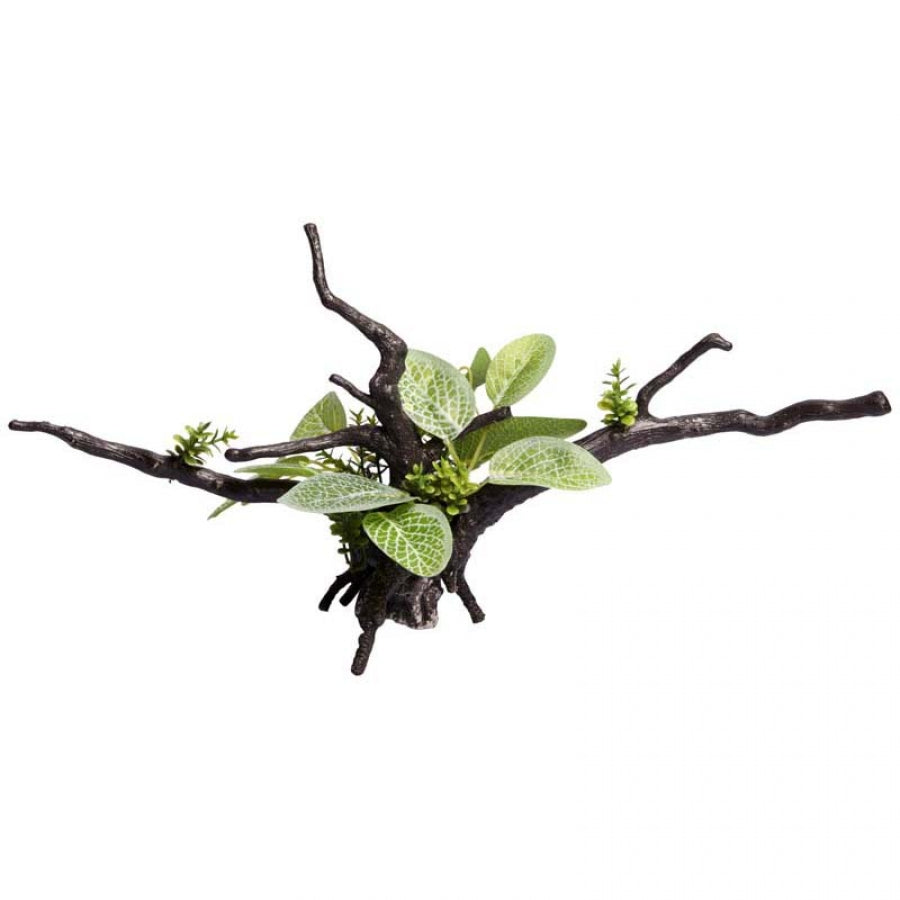 Aqua One Ecoscape Calathea Driftwood Green - Artificial Plant