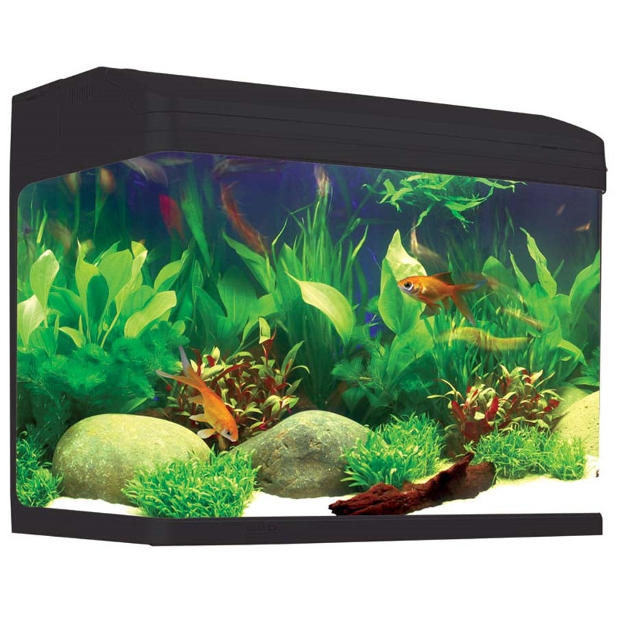 Aqua One AquaStyle 620 Aquarium Black