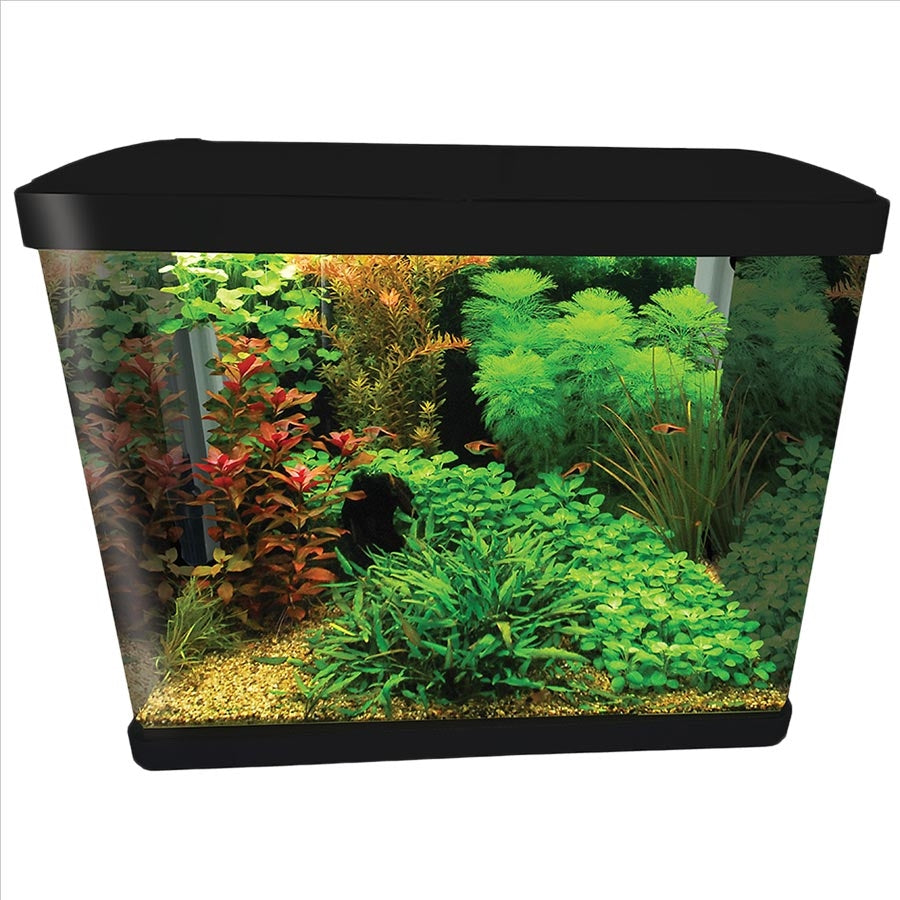 Aqua One Lifestyle 76 Aquarium Black