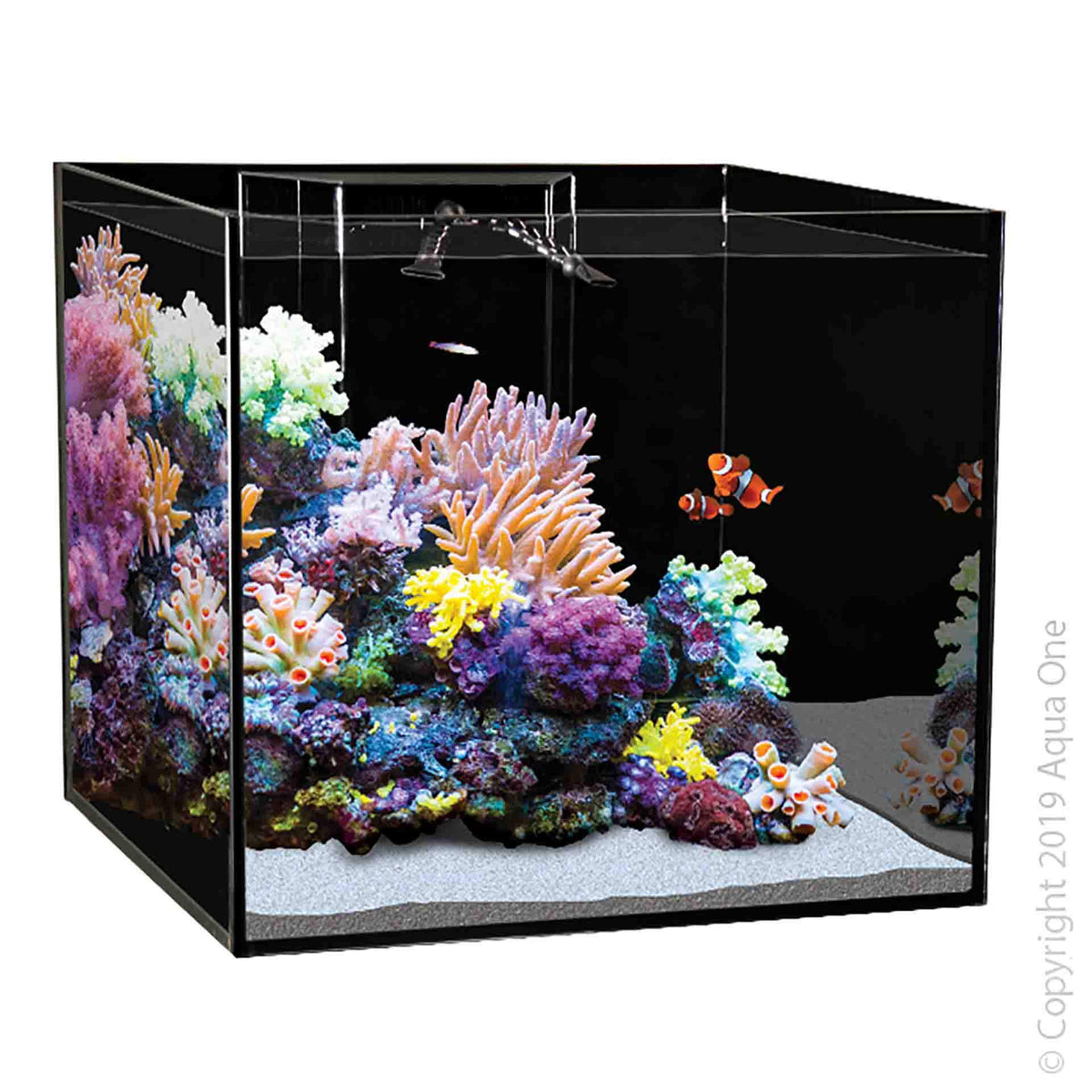 Aqua One Reefsys 255 Tank Only - Instore Pick Up Only