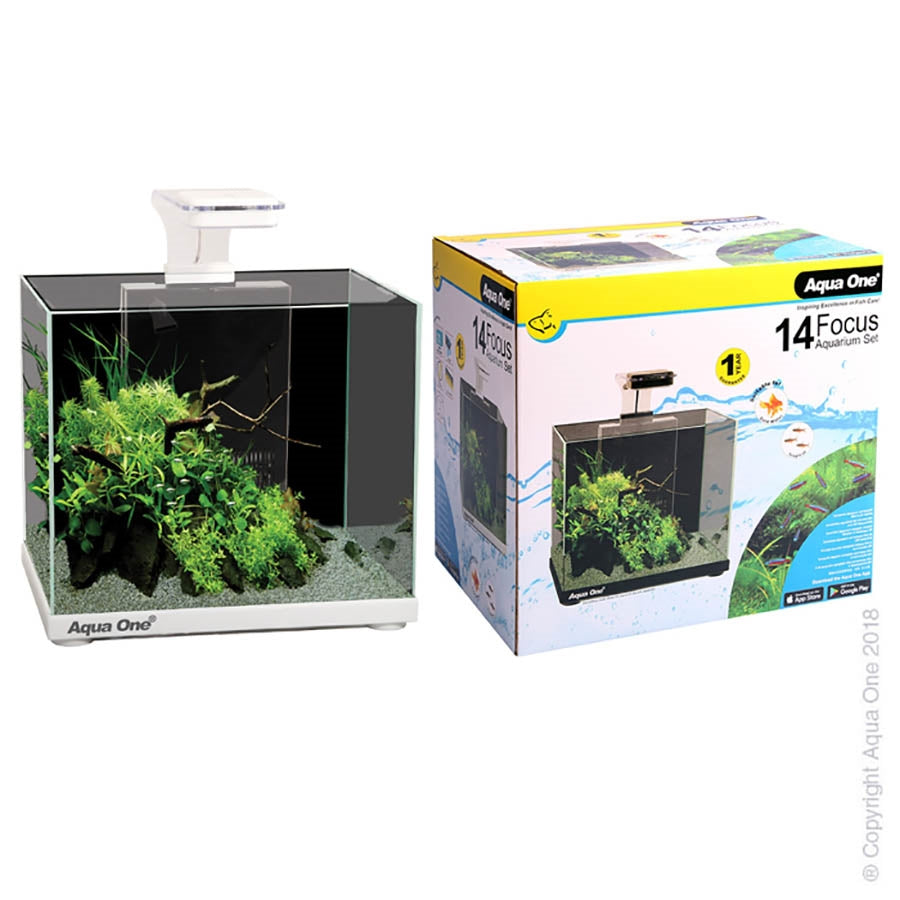 Aqua One Focus 14 White Aquarium with Light and Filter