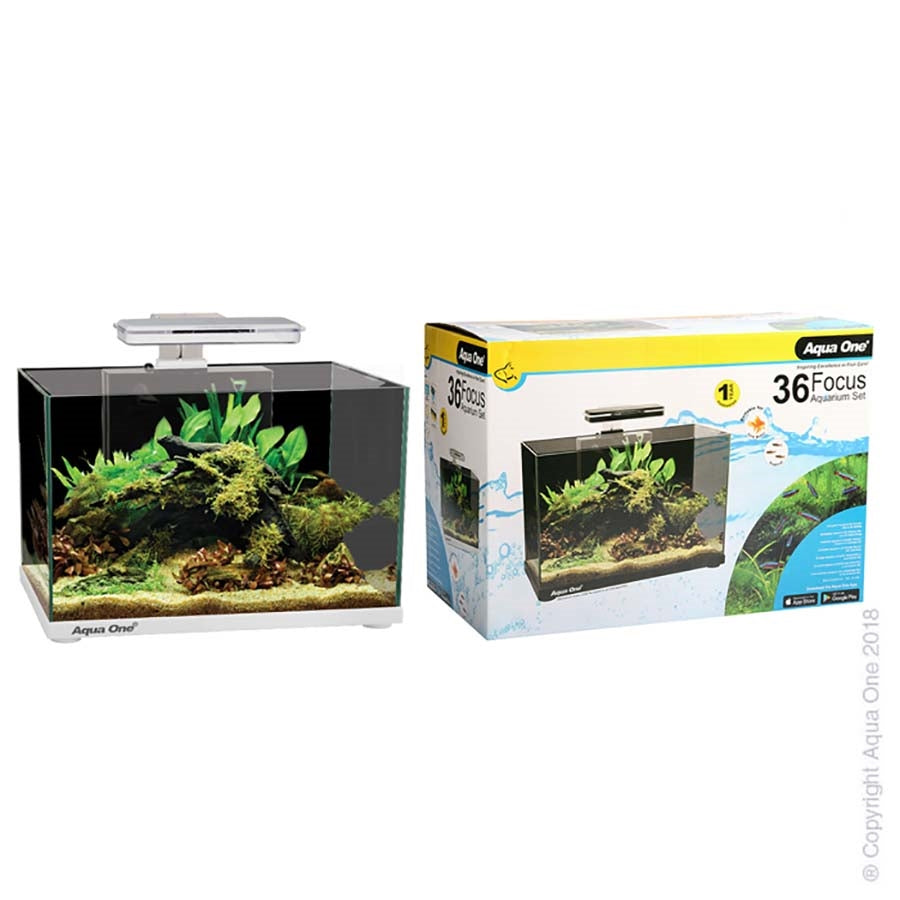 Aqua One Focus 36 White Aquarium with Light and Filter