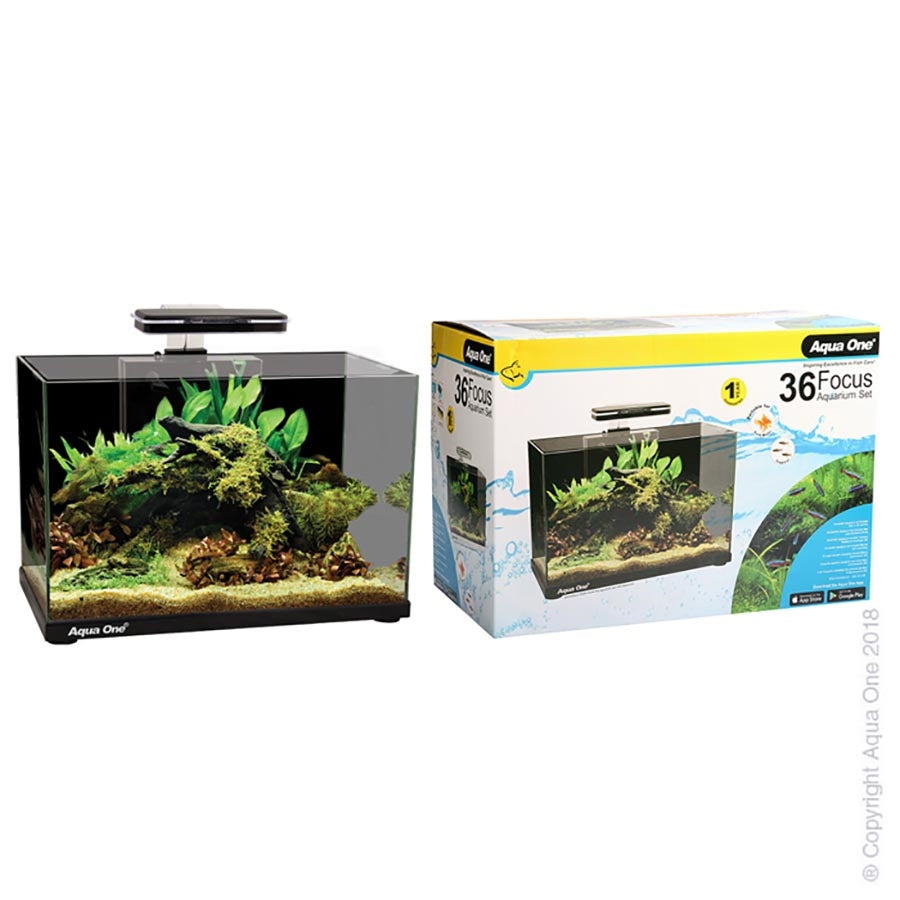 Aqua One Focus 23 Black Aquarium with Light and Filter