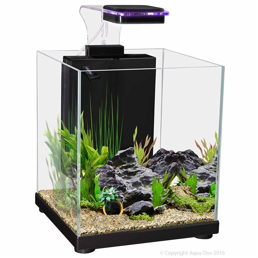 Aqua One Betta Sanctuary Aquarium Black - 10l