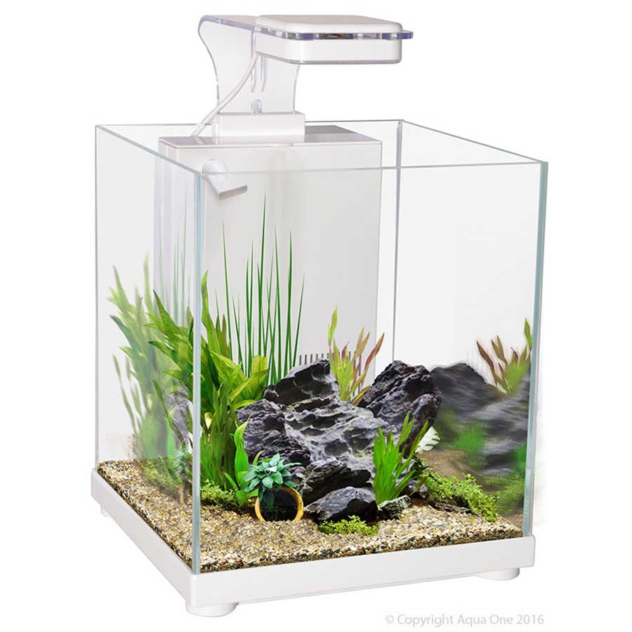 Aqua One Betta Sanctuary Aquarium White - 10l - The Tech Den