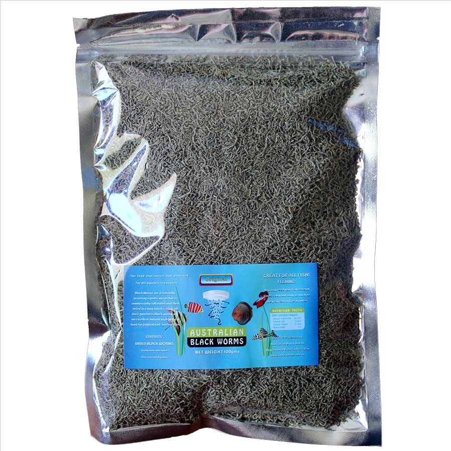 Australian Black Worms 100g Loose - Freeze Dried