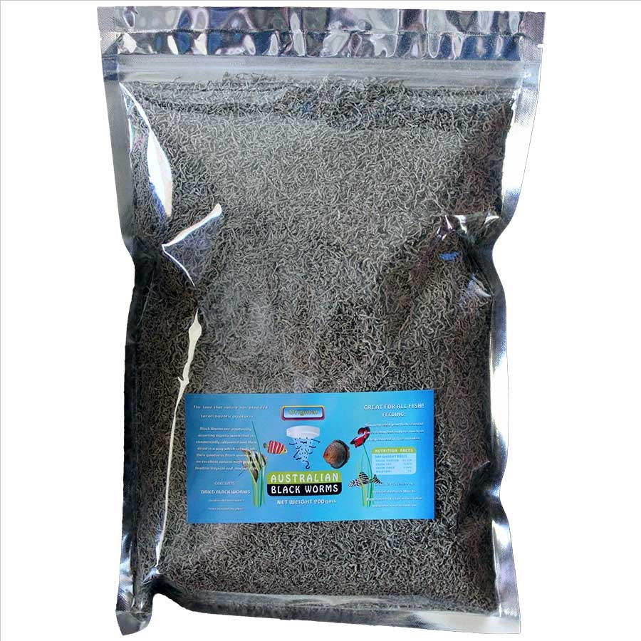 Australian Black Worms 200g Loose - Freeze Dried